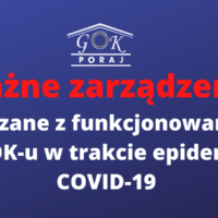 FUNKCJONOWANIE GOK-u W TRAKCIE EPIDEMII